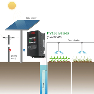pv100.jpg